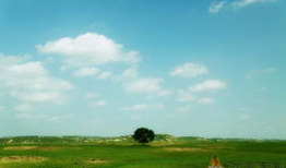 青草原在线视频,探寻自然之美与生态和谐